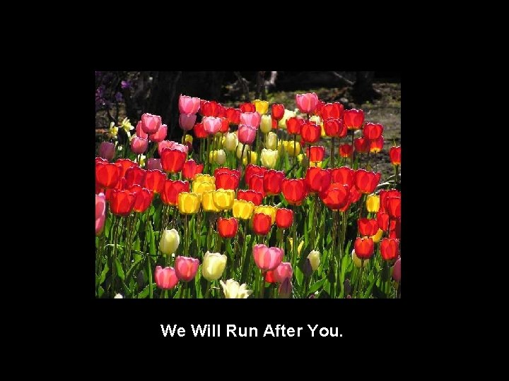 We Will Run After You. 