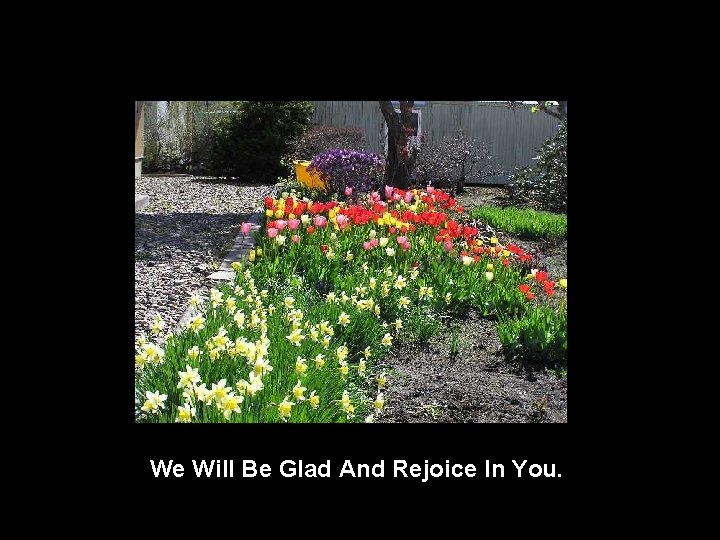 We Will Be Glad And Rejoice In You. 