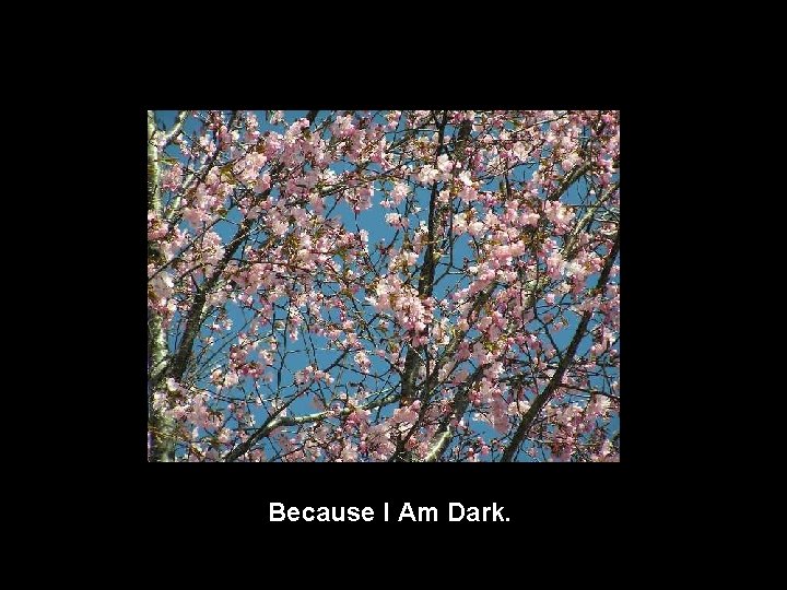 Because I Am Dark. 