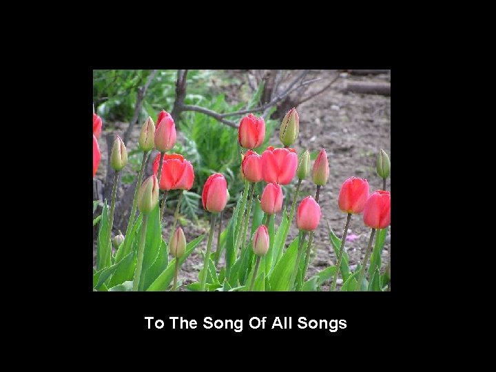 To The Song Of All Songs 