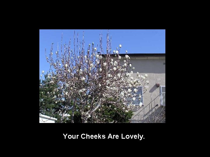 Your Cheeks Are Lovely. 