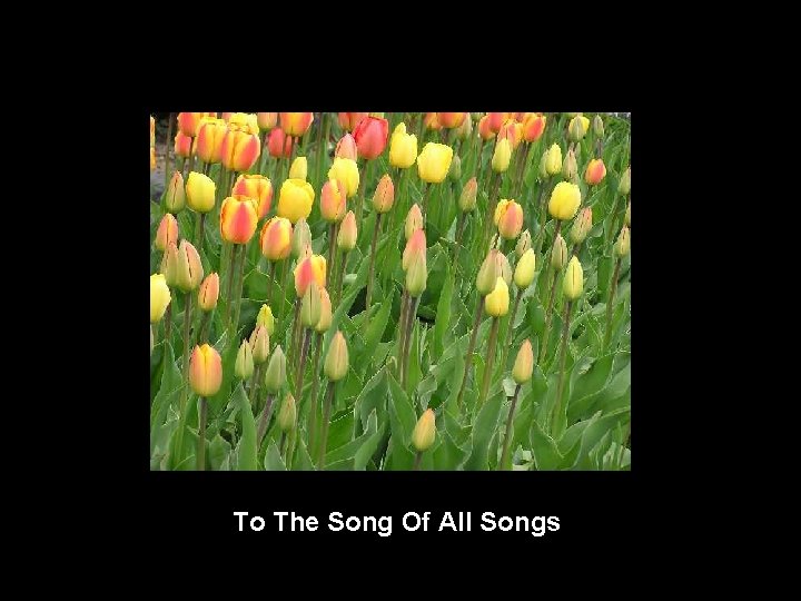 To The Song Of All Songs 