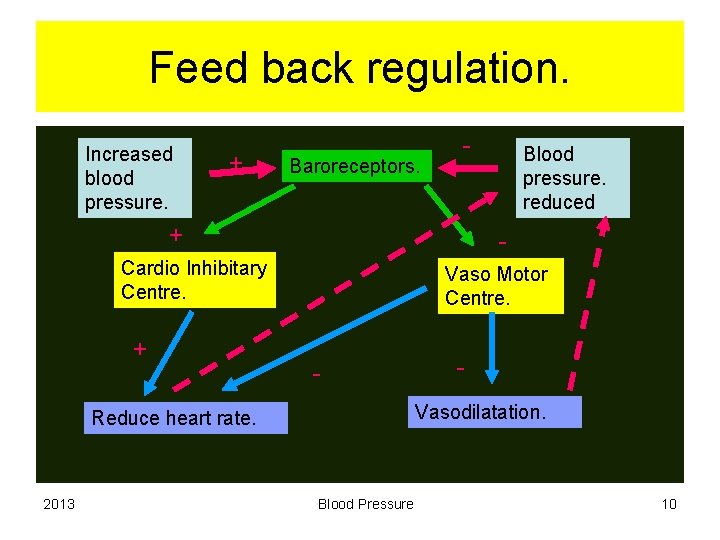 Feed back regulation. Increased blood pressure. + Baroreceptors. - + - Cardio Inhibitary Centre.