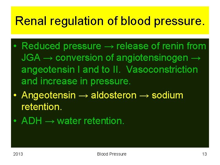 Renal regulation of blood pressure. • Reduced pressure → release of renin from JGA