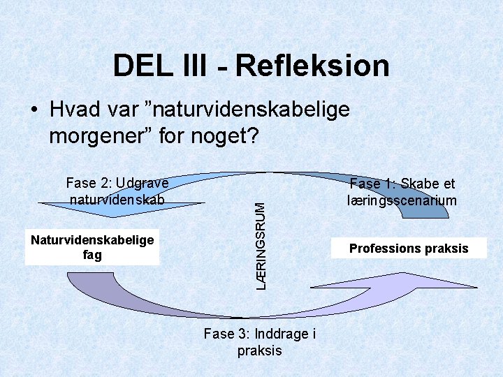 DEL III - Refleksion Fase 2: Udgrave naturvidenskab Naturvidenskabelige fag LÆRINGSRUM • Hvad var