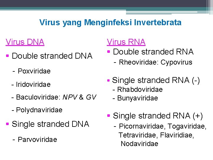 Virus yang Menginfeksi Invertebrata Virus DNA Double stranded DNA - Poxviridae - Iridoviridae -