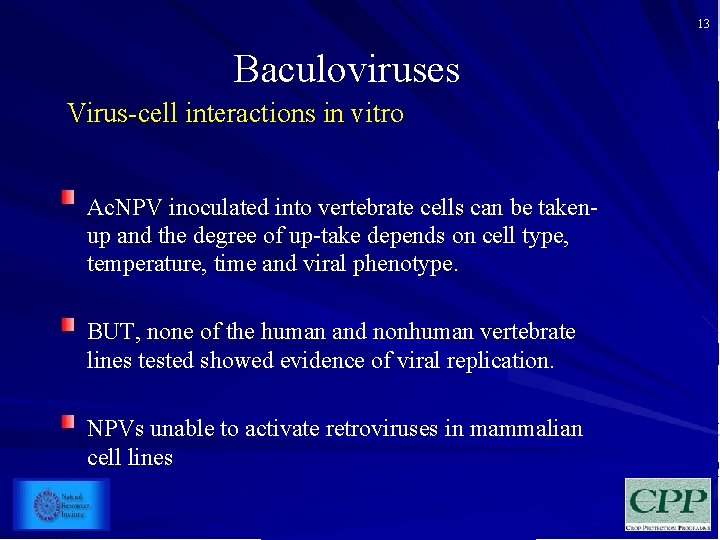 13 Baculoviruses Virus-cell interactions in vitro Ac. NPV inoculated into vertebrate cells can be