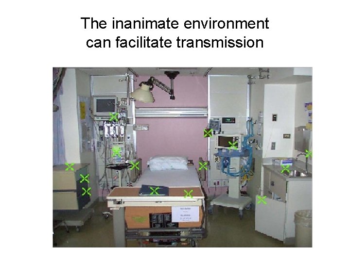 The inanimate environment can facilitate transmission 