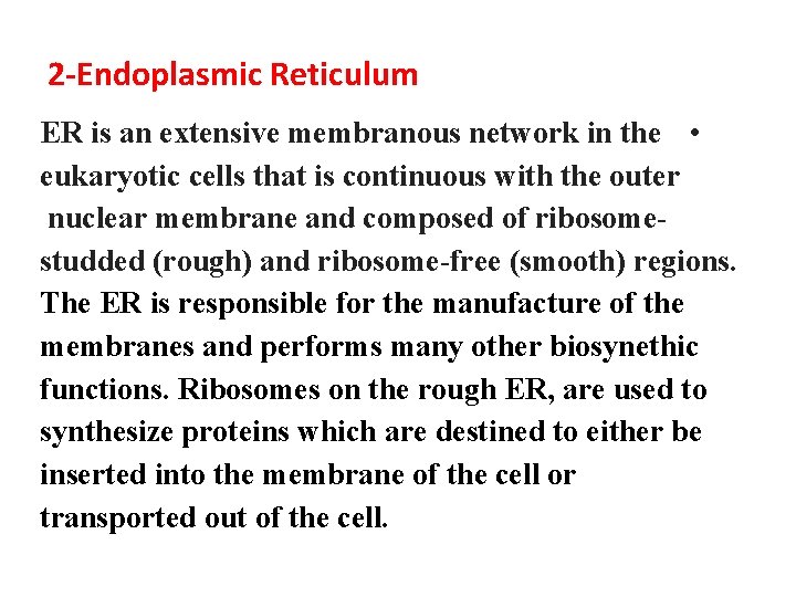 2 -Endoplasmic Reticulum ER is an extensive membranous network in the • eukaryotic cells