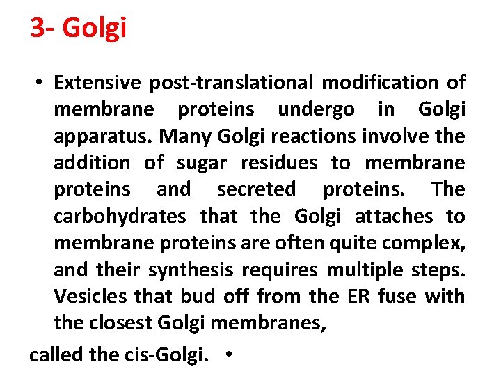 3 - Golgi • Extensive post-translational modification of membrane proteins undergo in Golgi apparatus.