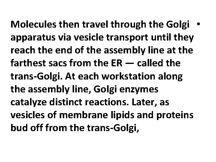 Molecules then travel through the Golgi • apparatus via vesicle transport until they reach
