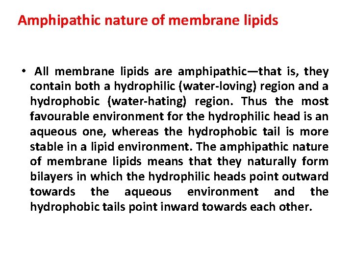 Amphipathic nature of membrane lipids • All membrane lipids are amphipathic—that is, they contain