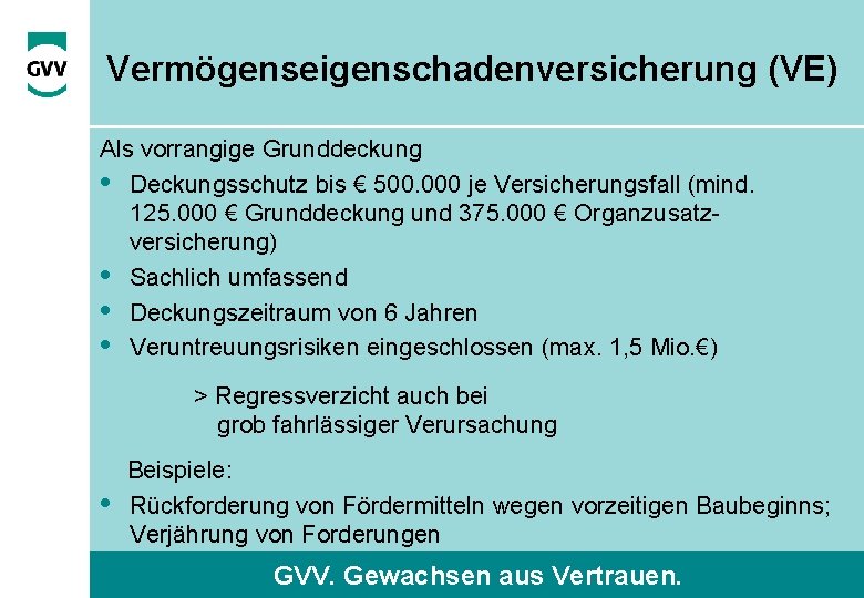 Vermögenseigenschadenversicherung (VE) Als vorrangige Grunddeckung • Deckungsschutz bis € 500. 000 je Versicherungsfall (mind.