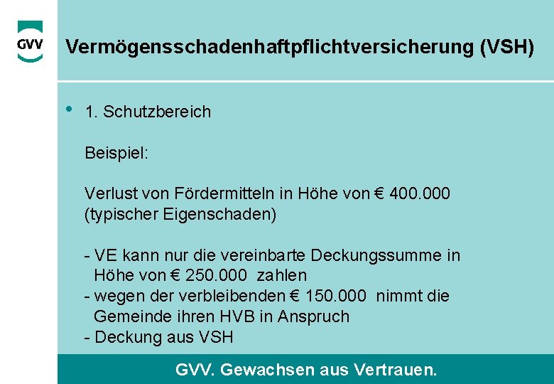 Vermögensschadenhaftpflichtversicherung (VSH) • 1. Schutzbereich Beispiel: Verlust von Fördermitteln in Höhe von € 400.