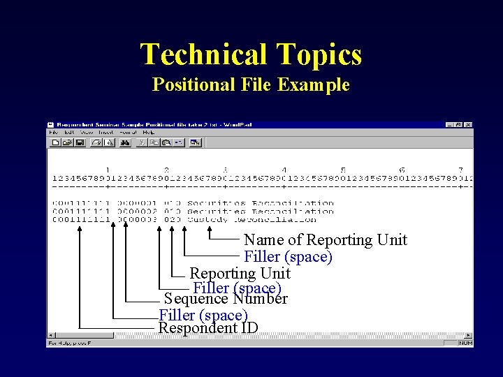 Technical Topics Positional File Example Name of Reporting Unit Filler (space) Sequence Number Filler