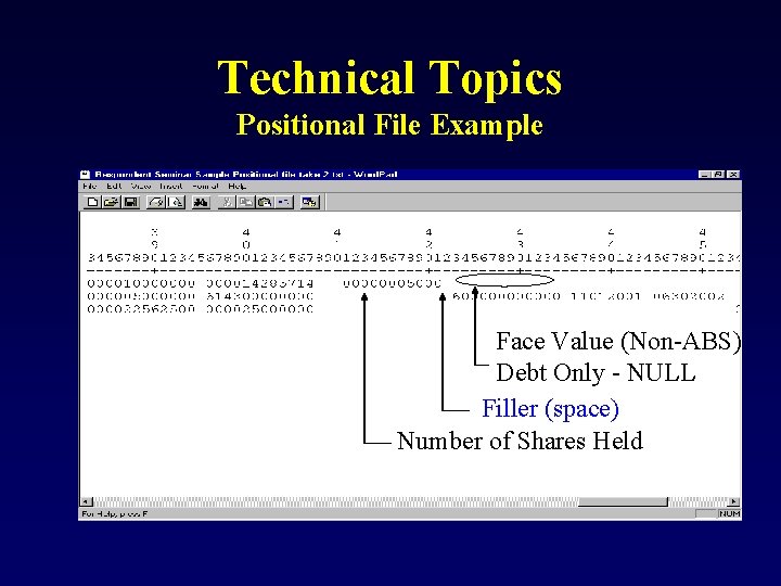 Technical Topics Positional File Example Face Value (Non-ABS) Debt Only - NULL Filler (space)