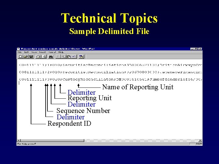 Technical Topics Sample Delimited File Name of Reporting Unit Delimiter Sequence Number Delimiter Respondent