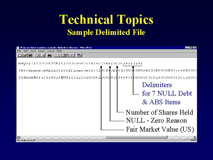 Technical Topics Sample Delimited File Delimiters for 7 NULL Debt & ABS Items Number