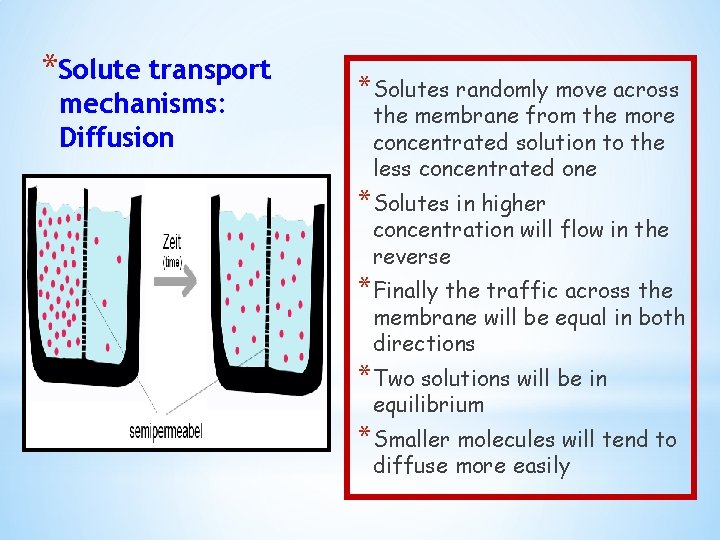 *Solute transport mechanisms: Diffusion *Solutes randomly move across the membrane from the more concentrated