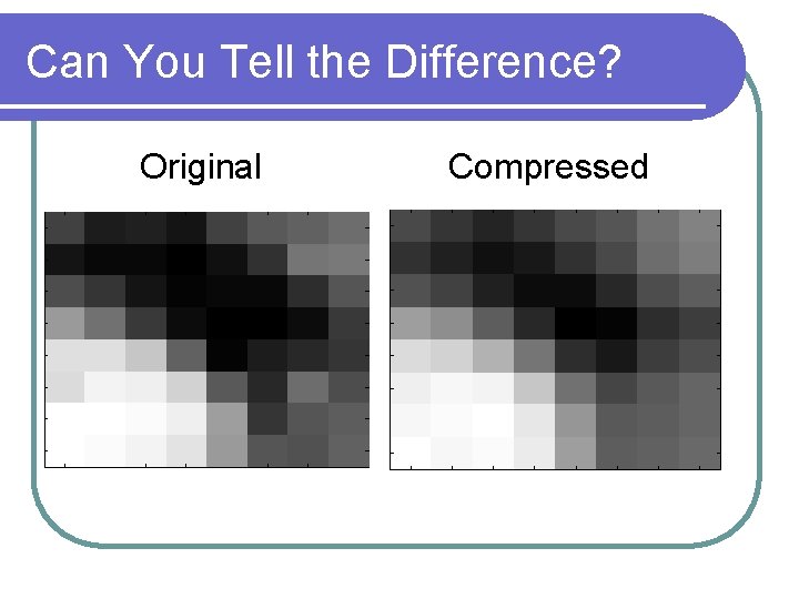 Can You Tell the Difference? Original Compressed 