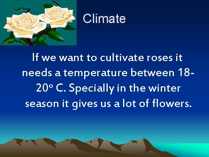 Climate If we want to cultivate roses it needs a temperature between 1820 o