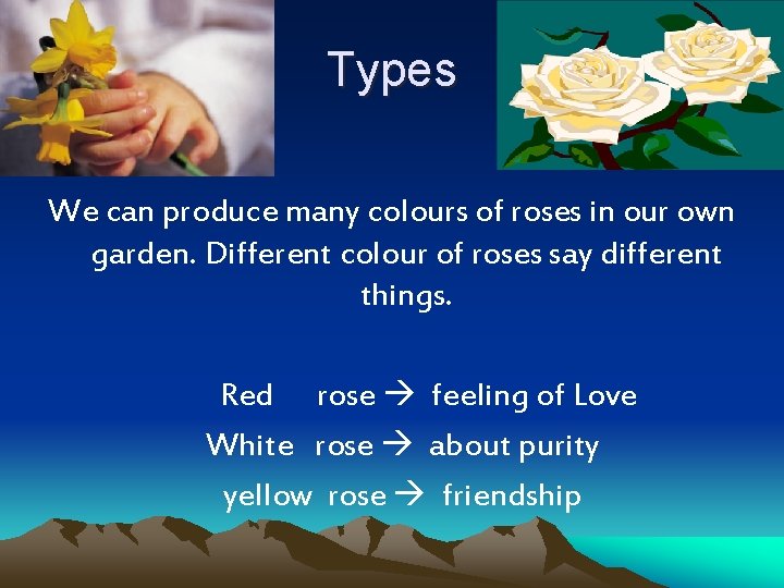 Types We can produce many colours of roses in our own garden. Different colour