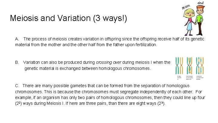 Meiosis and Variation (3 ways!) A. The process of meiosis creates variation in offspring