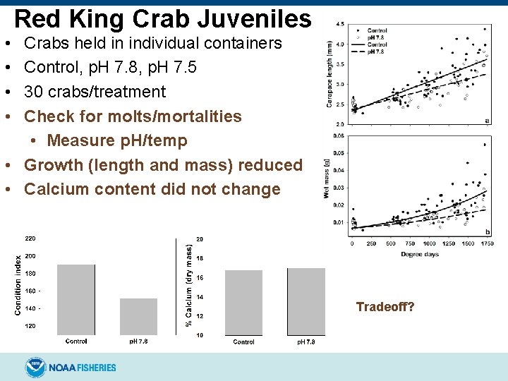 Red King Crab Juveniles • • Crabs held in individual containers Control, p. H