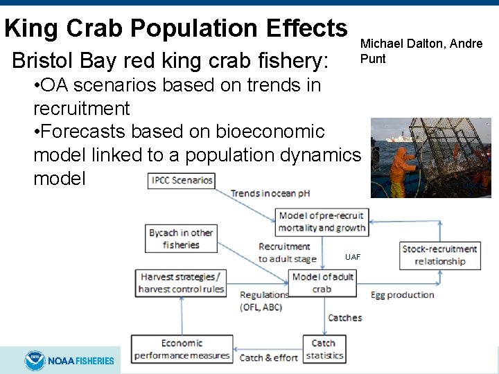 King Crab Population Effects Bristol Bay red king crab fishery: Michael Dalton, Andre Punt