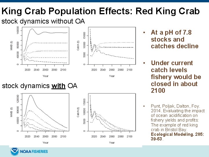 King Crab Population Effects: Red King Crab stock dynamics without OA • At a