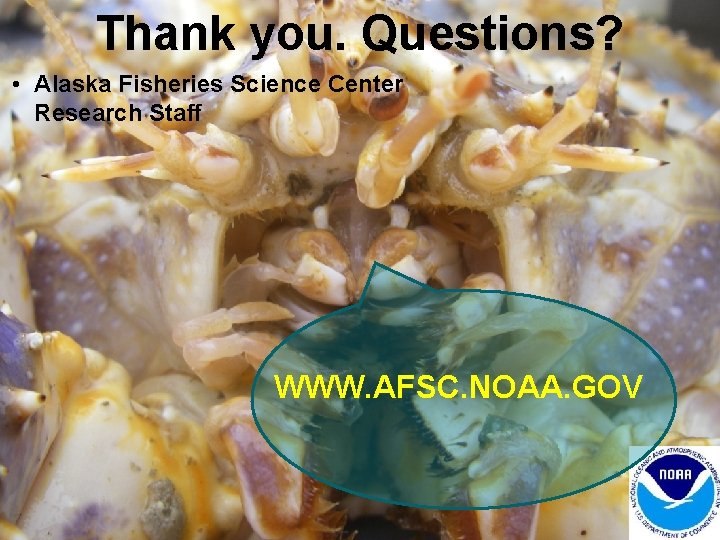 Thank you. Questions? • Alaska Fisheries Science Center Research Staff WWW. AFSC. NOAA. GOV