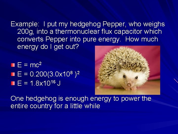 Example: I put my hedgehog Pepper, who weighs 200 g, into a thermonuclear flux