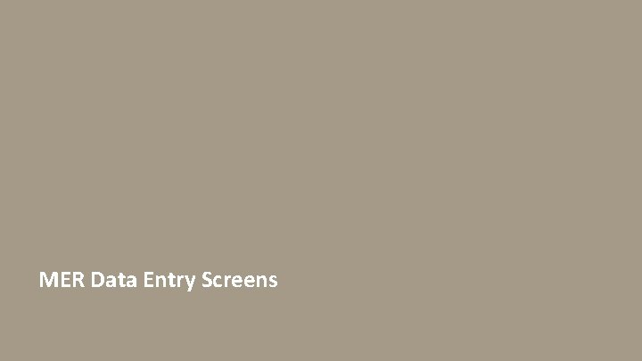 MER Data Entry Screens 