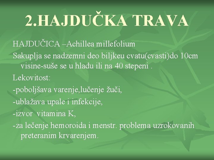 2. HAJDUČKA TRAVA HAJDUČICA –Achillea millefolium Sakuplja se nadzemni deo biljkeu cvatu(cvasti)do 10 cm