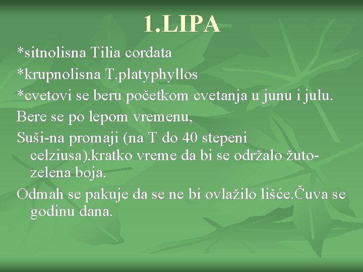 1. LIPA *sitnolisna Tilia cordata *krupnolisna T. platyphyllos *cvetovi se beru početkom cvetanja u