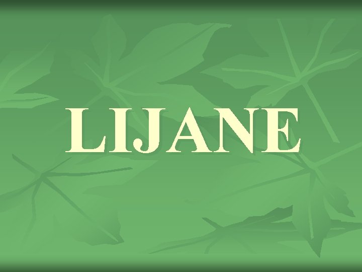 LIJANE 