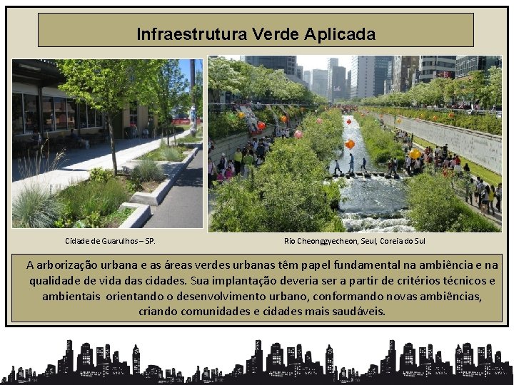 Infraestrutura Verde Aplicada Cidade de Guarulhos – SP. Rio Cheonggyecheon, Seul, Coreia do Sul