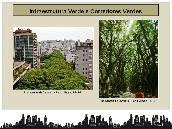 Infraestrutura Verde e Corredores Verdes Rua Gonçalo de Carvalho – Porto Alegre, RS -