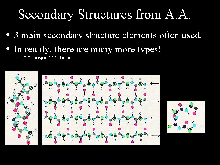 Secondary Structures from A. A. • 3 main secondary structure elements often used. •