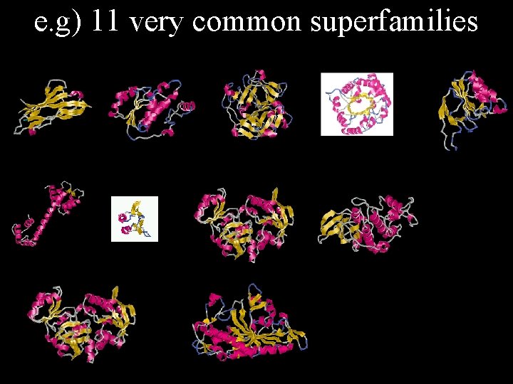 e. g) 11 very common superfamilies 