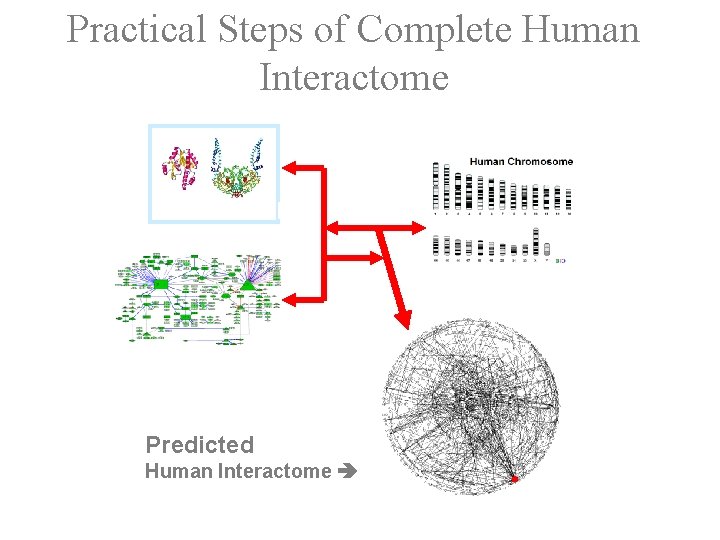 Practical Steps of Complete Human Interactome Structure DB Predicted Human Interactome http: //hpid. org/
