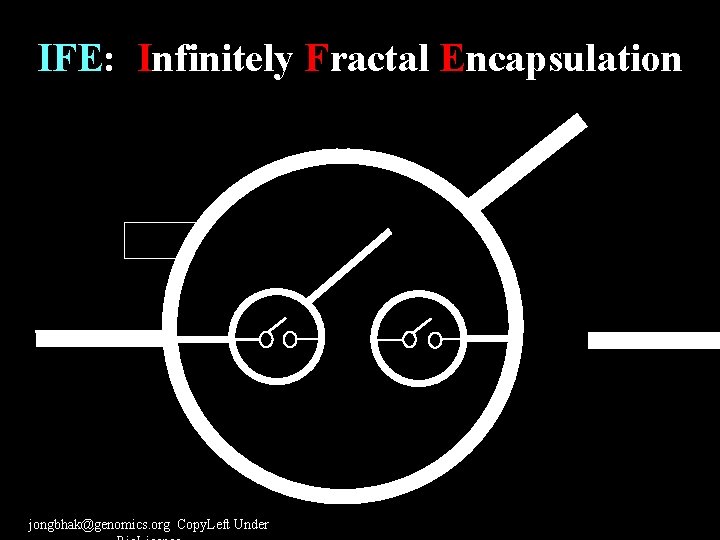 IFE: Infinitely Fractal Encapsulation 6 jongbhak@genomics. org Copy. Left Under 