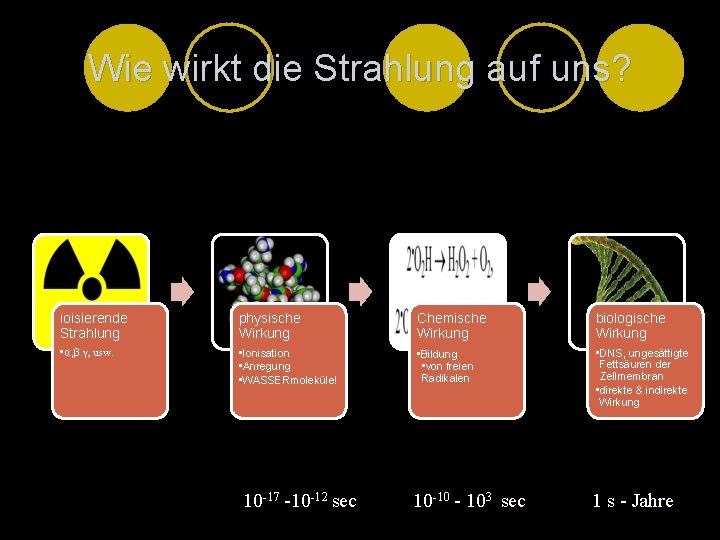 Wie wirkt die Strahlung auf uns? ioisierende Strahlung physische Wirkung Chemische Wirkung biologische Wirkung