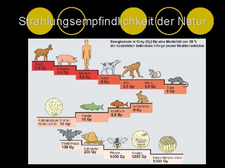 Strahlungsempfindlichkeit der Natur 