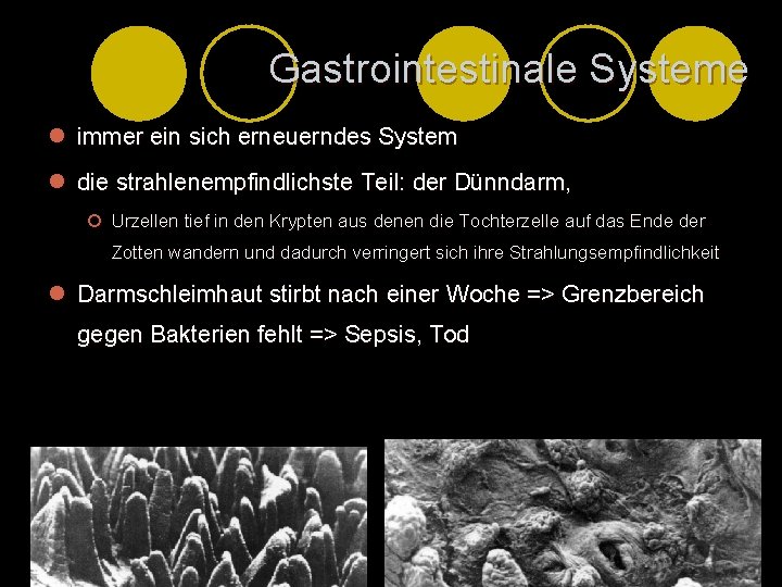 Gastrointestinale Systeme l immer ein sich erneuerndes System l die strahlenempfindlichste Teil: der Dünndarm,