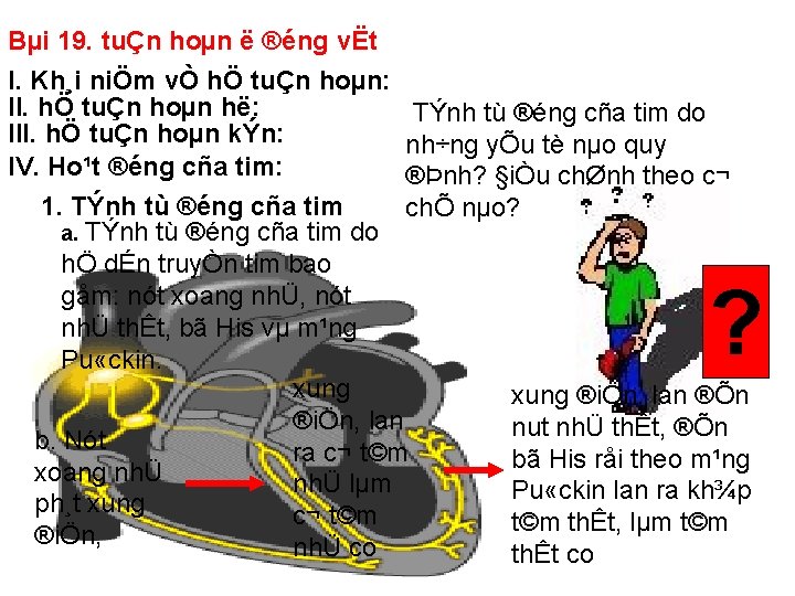 Bµi 19. tuÇn hoµn ë ®éng vËt I. Kh¸i niÖm vÒ hÖ tuÇn hoµn: