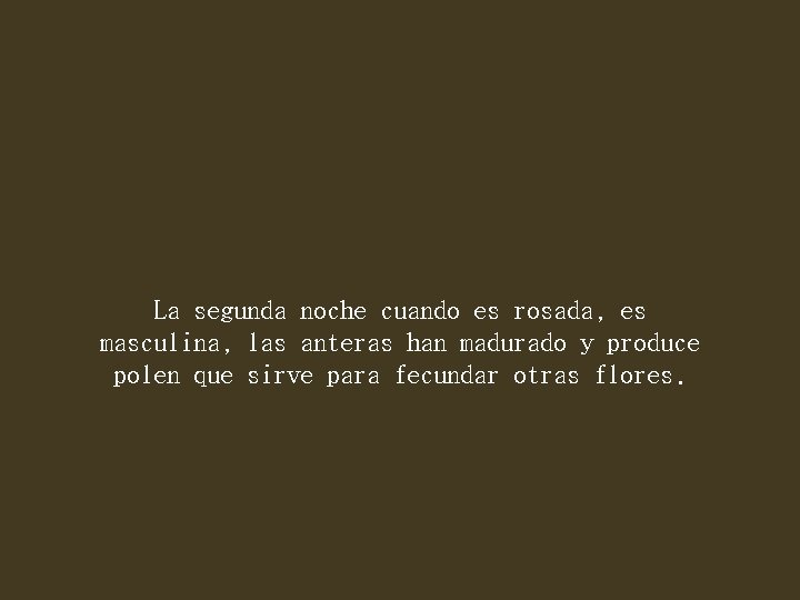 La segunda noche cuando es rosada, es masculina, las anteras han madurado y produce