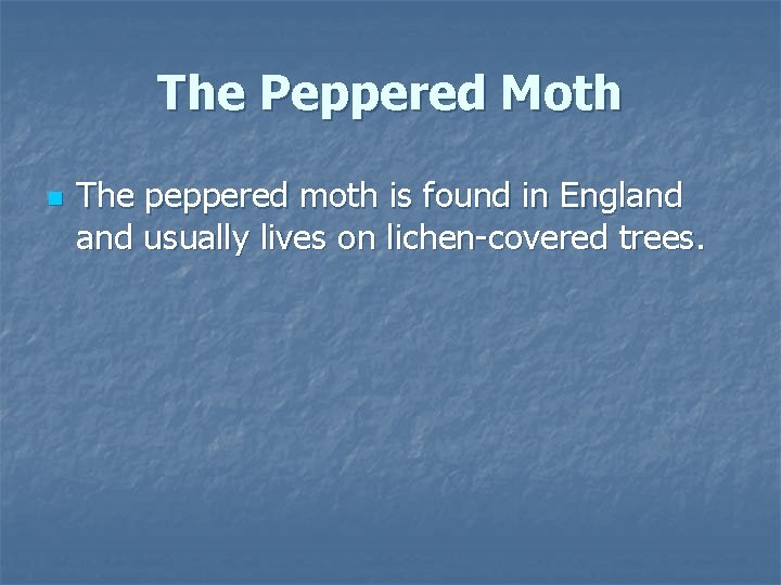 The Peppered Moth n The peppered moth is found in England usually lives on