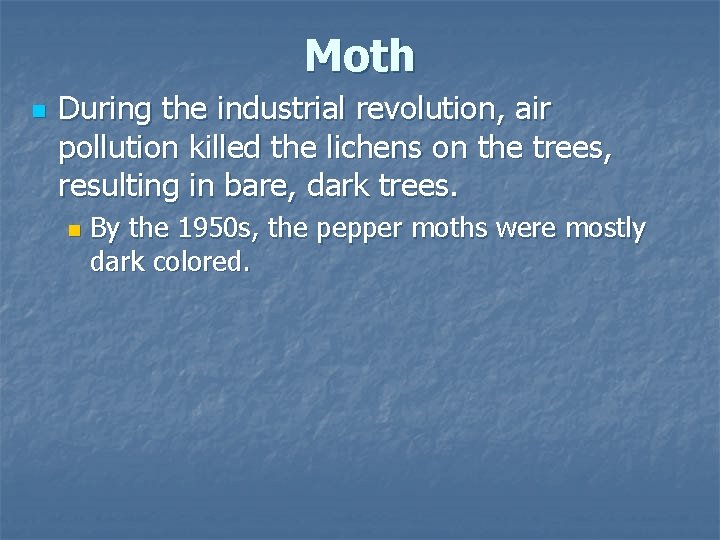 Moth n During the industrial revolution, air pollution killed the lichens on the trees,