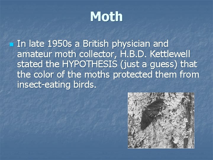 Moth n In late 1950 s a British physician and amateur moth collector, H.